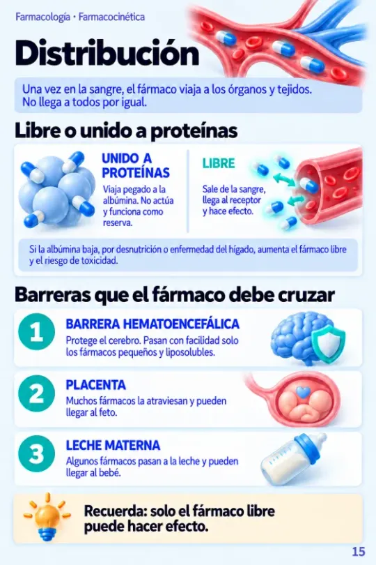 Página Distribución