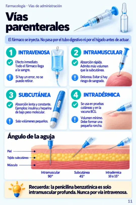 Página Vías parenterales
